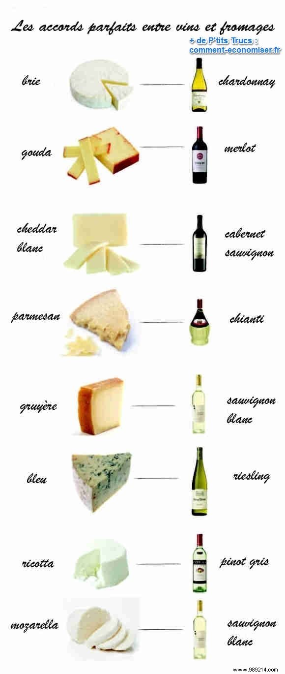 Perfect Wine and Cheese Pairings: Your Visual Guide to Impress Every Time