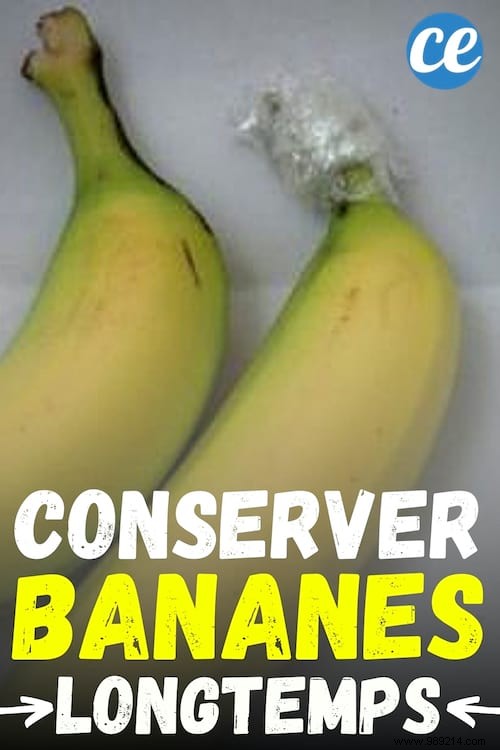 How to Store Bananas to Keep Them Fresh Longer: 3 Proven Tips