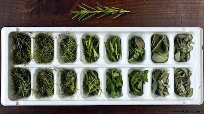 Freeze Fresh Herbs in Olive Oil: Keep Flavor Alive for Months