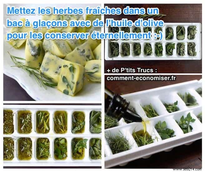 Freeze Fresh Herbs in Olive Oil: Keep Flavor Alive for Months