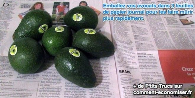 2 Proven Ways to Ripen Avocados Quickly at Home