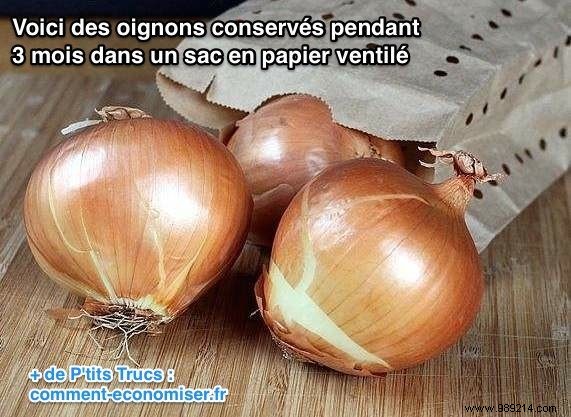 How to Store Onions for Up to 3 Months: Simple Kraft Paper Bag Method
