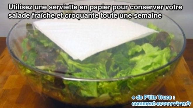 Keep Your Salad Fresh and Crispy for a Whole Week: Proven Storage Trick