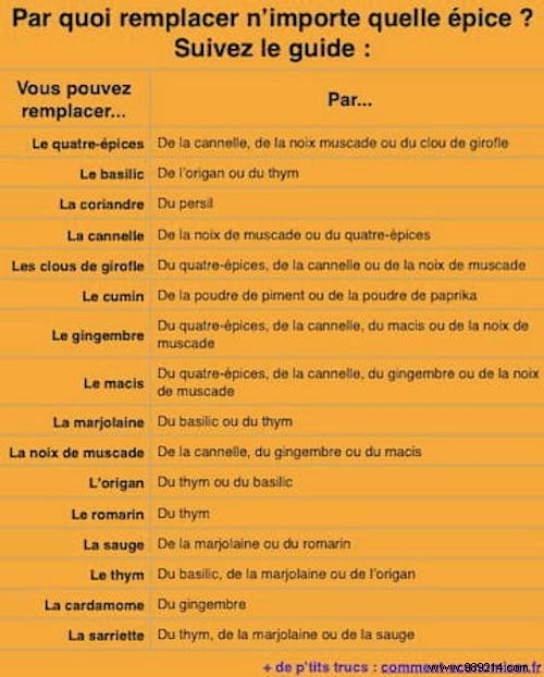 Missing a Spice in Your Recipe? Expert Substitutes to Save Dinner