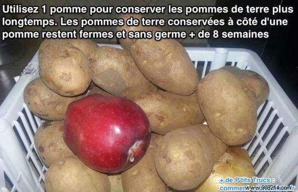 Stop Potatoes from Sprouting: The Proven Apple Trick for Lasting Freshness