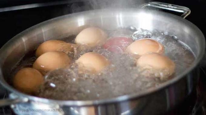 Repurpose Egg Boiling Water: A Simple Natural Fertilizer for Healthier Plants