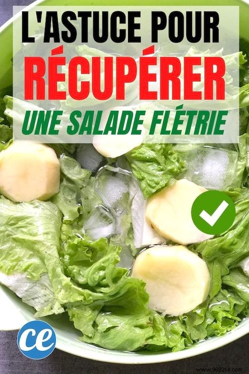 Revive Wilted Lettuce in 20 Minutes: A Restaurant Kitchen Pro Tip