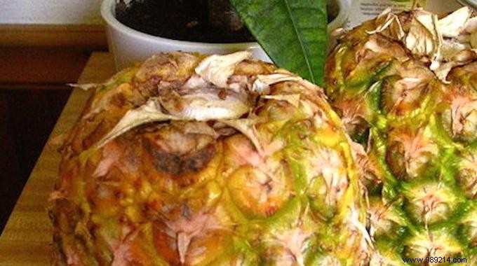 How to Ripen a Pineapple Quickly: A Proven Kitchen Trick