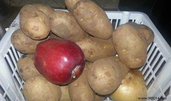 20 Proven Tips to Keep Your Food Fresh Longer and Reduce Waste