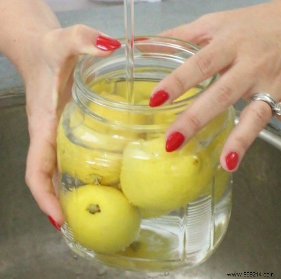 20 Proven Tips to Keep Your Food Fresh Longer and Reduce Waste