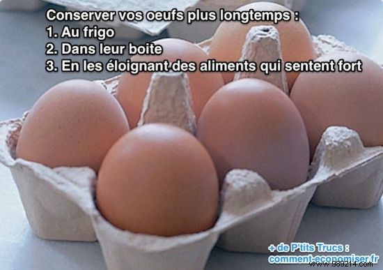 20 Proven Tips to Keep Your Food Fresh Longer and Reduce Waste