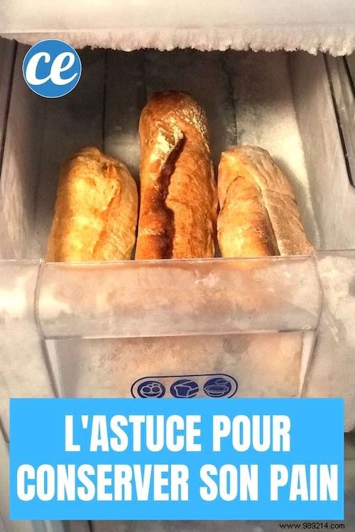 Baker-Approved Tip: Freeze and Defrost Bread for Fresh Daily Loaves