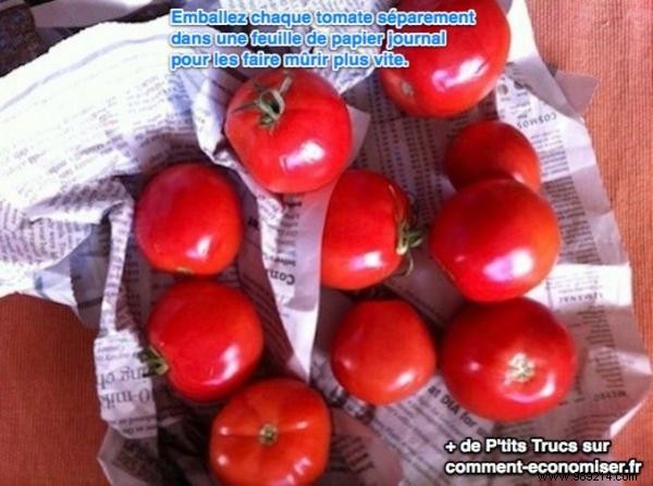 Ripen Tomatoes Faster at Home: The Simple Newspaper Trick Gardeners Swear By