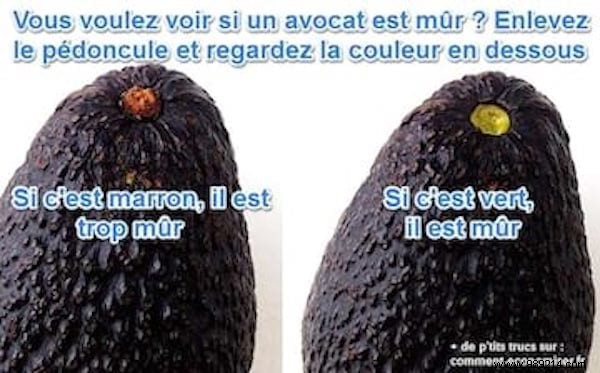 Foolproof Avocado Ripeness Test: Check the Stem Color (No Squeezing Required)