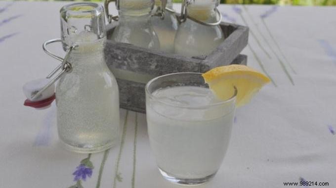 Easy Homemade Lemonade Recipe: Naturally Fizzy and Refreshing