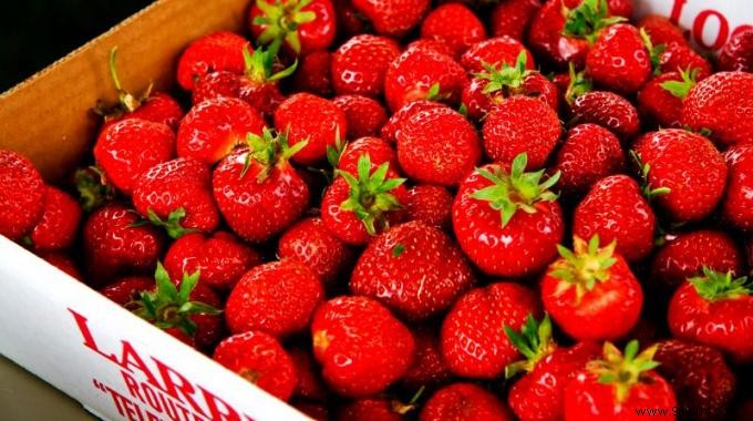 How to Wash Strawberries Properly to Preserve Their Flavor and Texture