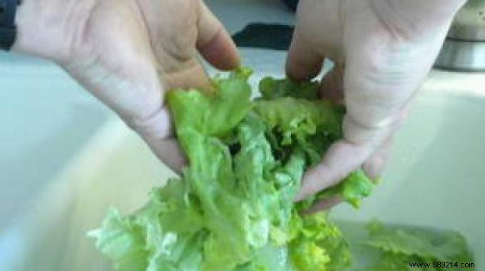 Revive Wilted Salad: Grandma s Simple Hot-and-Cold Water Trick