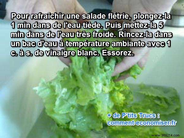 Revive Wilted Salad: Grandma s Simple Hot-and-Cold Water Trick