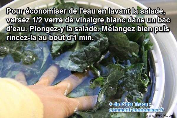 How to Clean Fresh Salad with White Vinegar: A Water-Saving Expert Tip