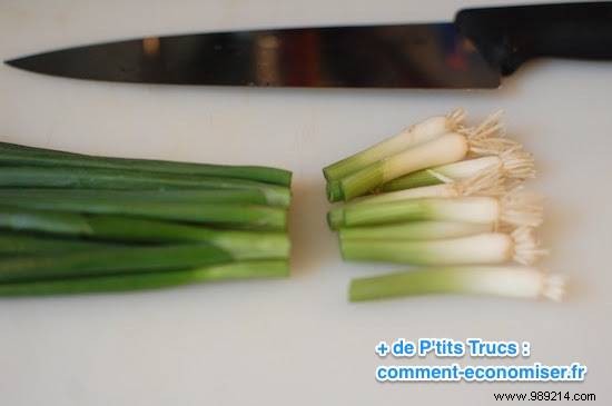 Regrow Spring Onions Endlessly in Water: Never Buy Chives Again