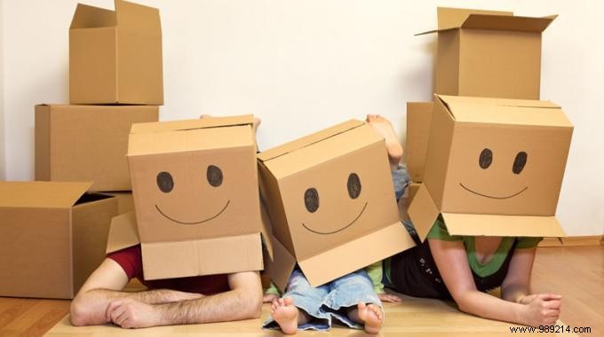 How to Pack Plates for Moving: The Simple Paper Plate Trick to Prevent Breakage