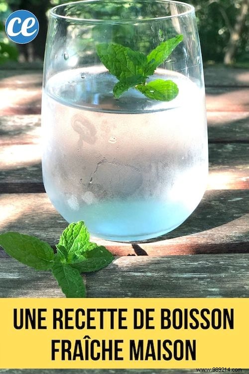 Refreshing Homemade Mint Water: Easy Recipe to Beat the Heat