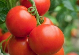 5 Proven Ways to Repurpose Overripe Tomatoes Without Waste