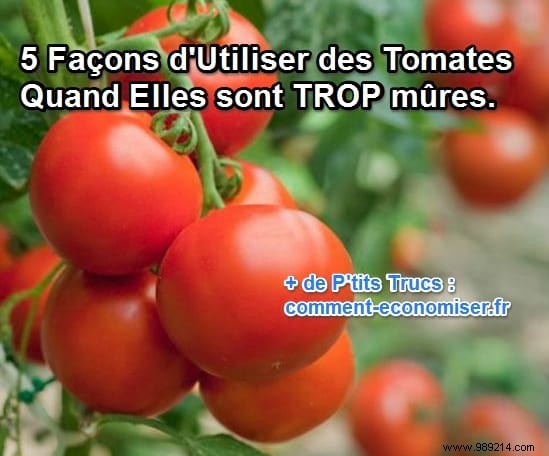 5 Proven Ways to Repurpose Overripe Tomatoes Without Waste