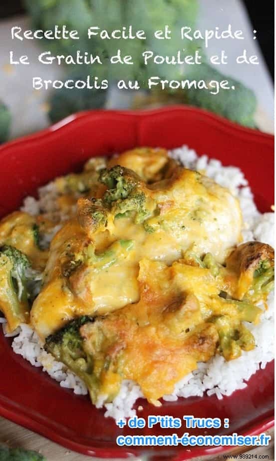 Quick Chicken and Broccoli Gratin: Easy 4-Ingredient Family Dinner