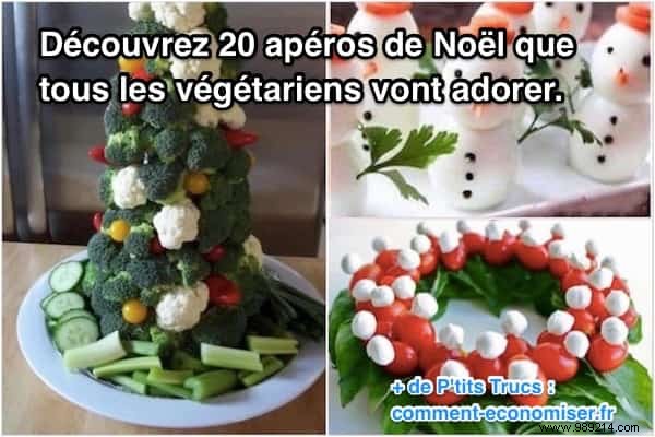 20 Stunning Vegetarian Christmas Appetizers for Holiday Gatherings