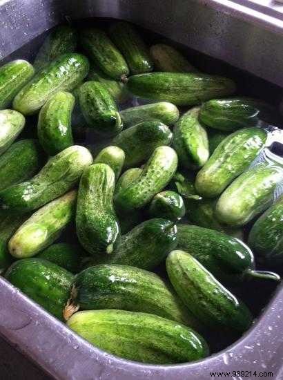 Easy Homemade Pickled Cucumbers in White Vinegar: A Foolproof Recipe
