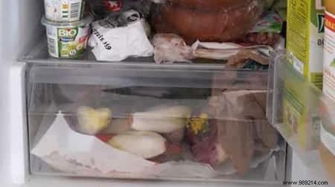 4 Proven Fridge Storage Tips to Extend Food Freshness and Cut Waste