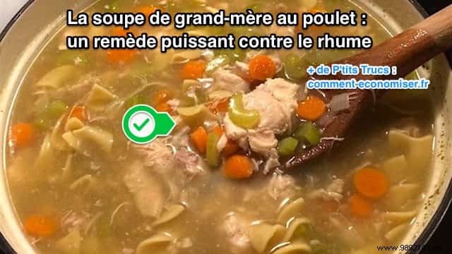 Grandma s Chicken Soup: A Scientifically Backed Remedy for Colds and Flu