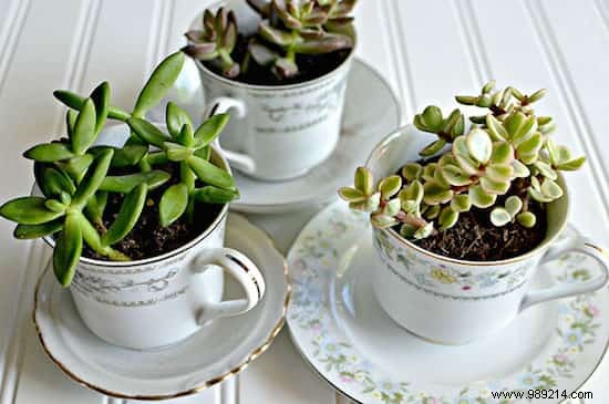 28 Genius Upcycling Ideas for Old Kitchen Utensils: Transform Trash into Treasure