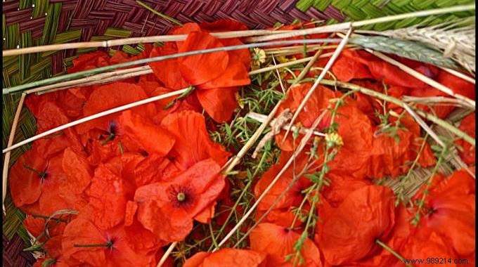 Grandma s Homemade Poppy Syrup Recipe: Delicious, Natural, and Just 50¢