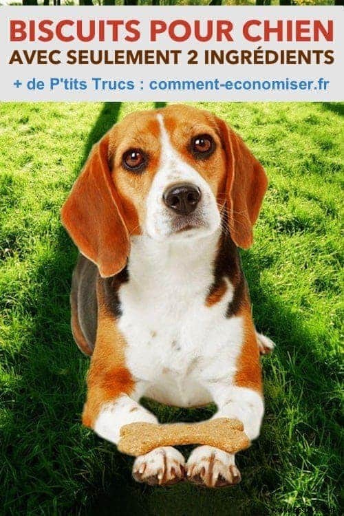 8 Budget-Friendly Recipes Using Just 2 Ingredients Each