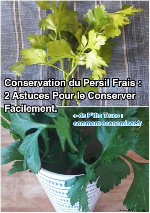 2 Proven Ways to Store Fresh Parsley Longer: Simple Kitchen Hacks