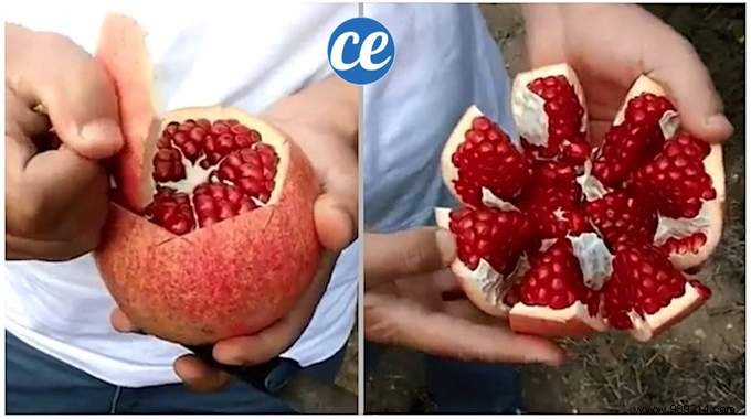 How to Peel a Pomegranate in 30 Seconds Without the Mess