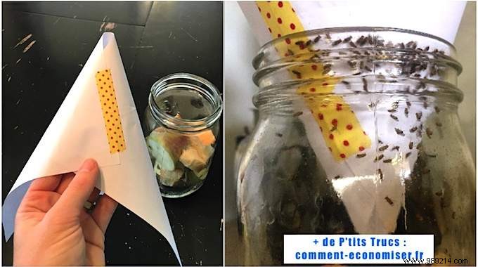 Eliminate Kitchen Gnats Fast: Grandma s Proven 2-Minute Natural Trap