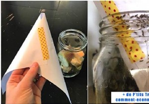 Eliminate Kitchen Gnats Fast: Grandma s Proven 2-Minute Natural Trap