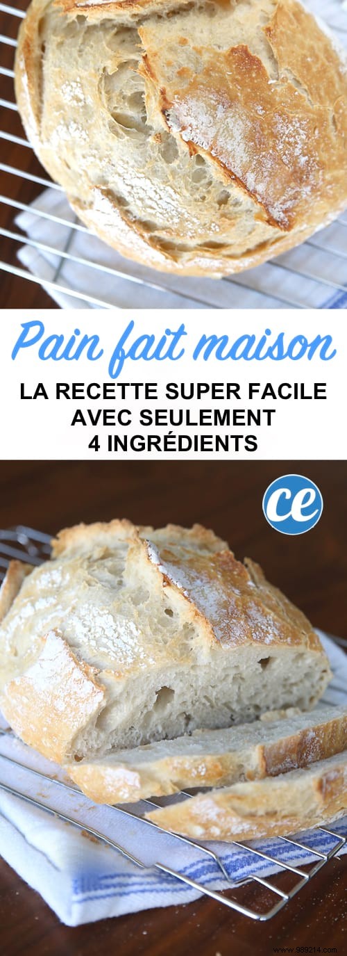 Foolproof 4-Ingredient No-Knead Homemade Bread Recipe for Beginners