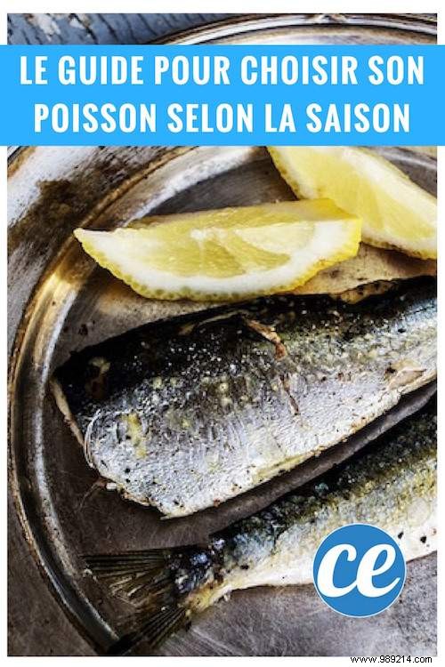 Seasonal Fish and Seafood Calendar: Shop Fresher and Save Money Year-Round