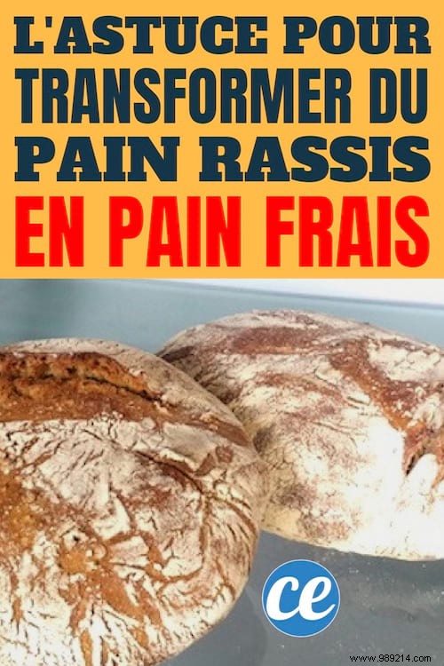 Baker s Secret Trick: Revive Stale Bread to Fresh in Minutes