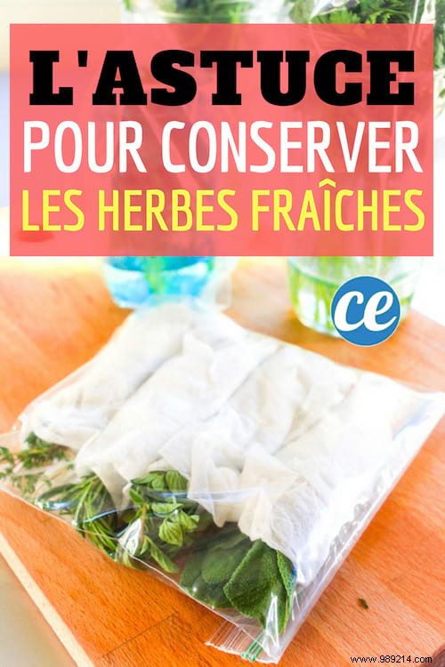 Expert Tip: Store Fresh Herbs for Up to 3 Weeks Without Waste