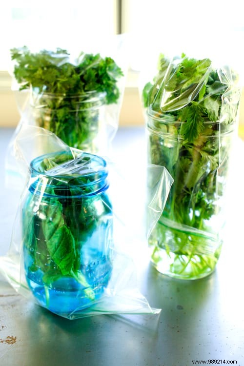 Expert Tip: Store Fresh Herbs for Up to 3 Weeks Without Waste