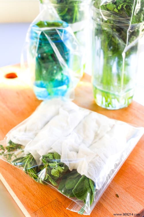 Expert Tip: Store Fresh Herbs for Up to 3 Weeks Without Waste