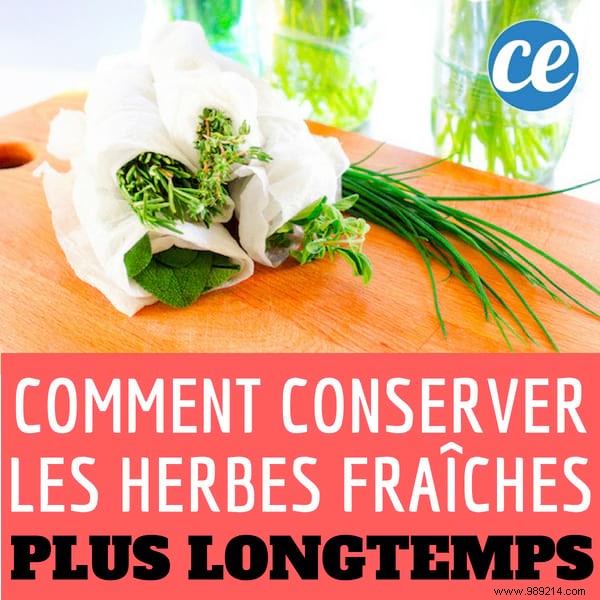 Expert Tip: Store Fresh Herbs for Up to 3 Weeks Without Waste