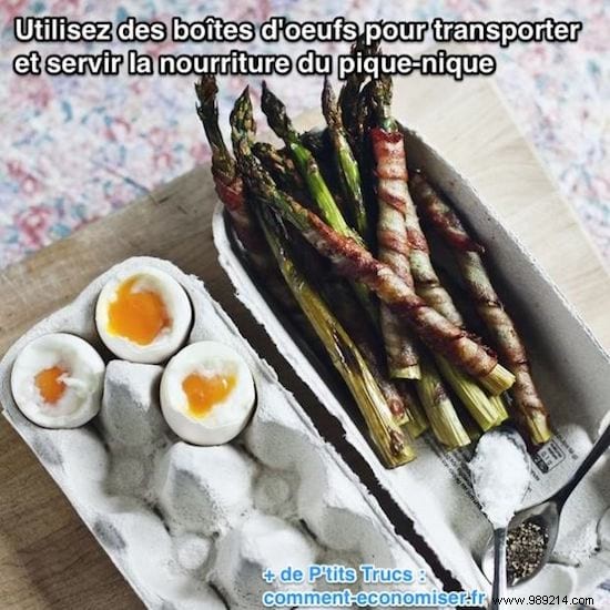 Genius Picnic Hack: Transport Food Easily with Egg Cartons