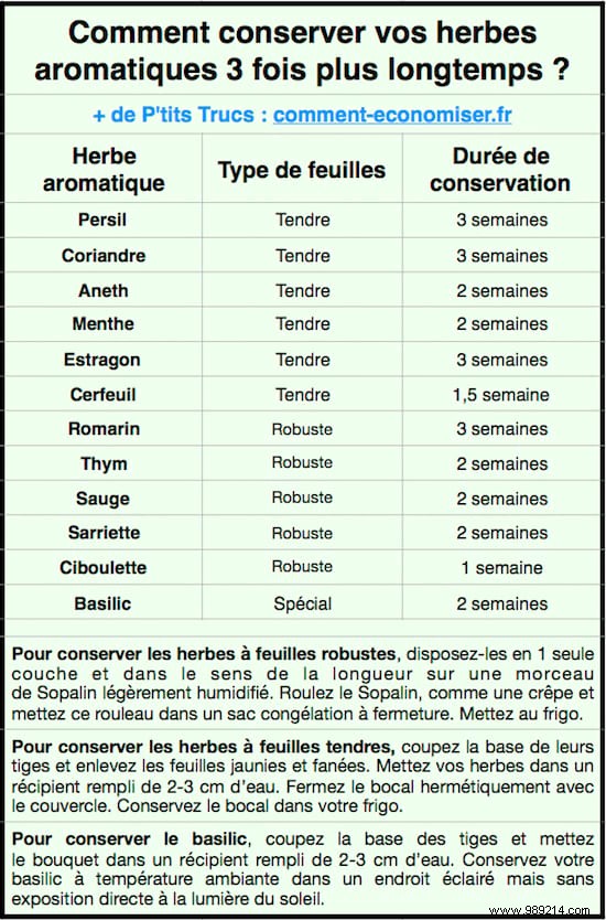 How to Keep Fresh Herbs Fresh 3x Longer: Expert Storage Tips