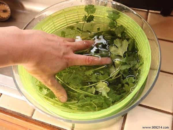 How to Keep Fresh Herbs Fresh 3x Longer: Expert Storage Tips